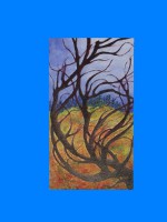 /album/fotogaleria/jarabina-jpg1/